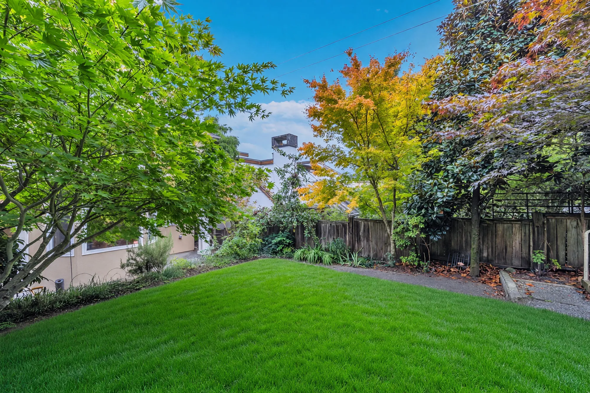 The rear garden, lawn and fence with mature trees behind