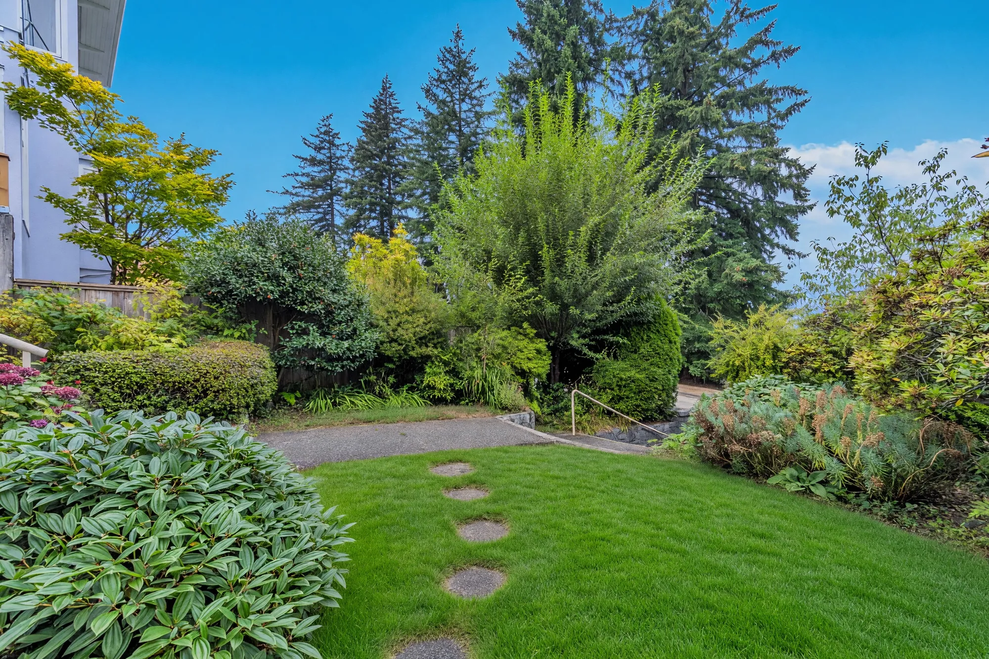 The side garden with planting beds and a path